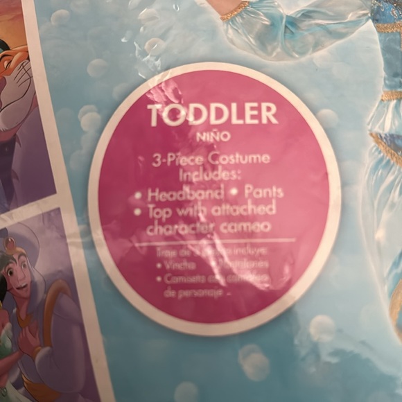 Princess Jasmine Disney Costume - Picture 3 of 3